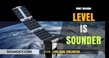 Sounder Reading Level Guide: Assessing Its Difficulty for Young Readers