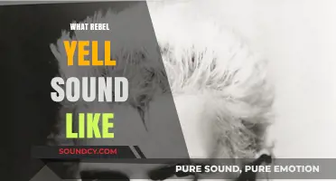 Unveiling the Rebel Yell: A Sonic Journey Through History and Culture