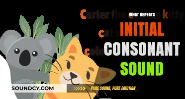 Mastering Alliteration: Understanding Words That Repeat Initial Consonant Sounds