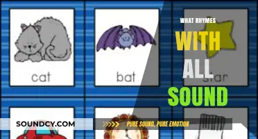 Exploring Rhyming Words: Uncovering Perfect Matches for 'All Sound