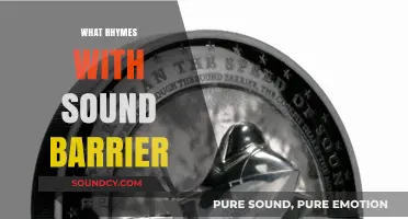 Breaking the Sound Barrier: Rhyming Words That Echo Through Speed and Sound
