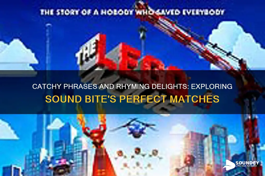 what rhymes with sound bite