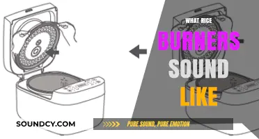 The Unique Roar of Rice Burners: Decoding Their Signature Engine Sound