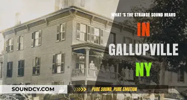 Unraveling the Mystery: Strange Sounds in Gallupville, NY