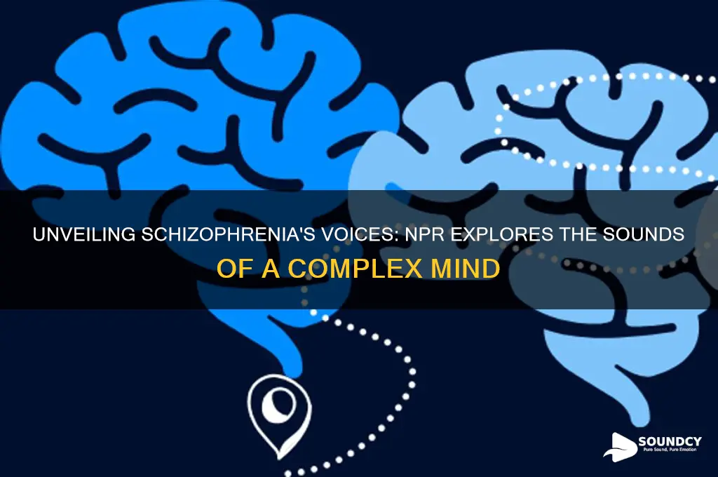 what schizophrenia sounds like npr