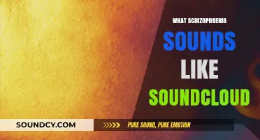 Schizophrenia's Sonic Landscape: Exploring Voices and Sounds on SoundCloud