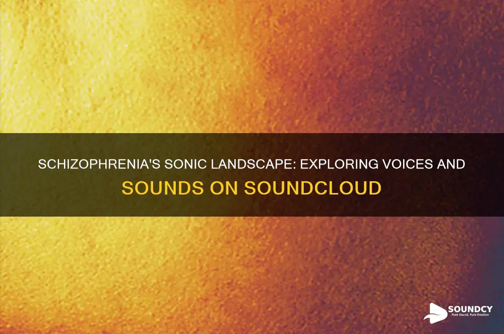 what schizophrenia sounds like soundcloud