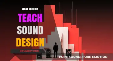 Exploring Sound Design Education: What Schools Teach and Why It Matters