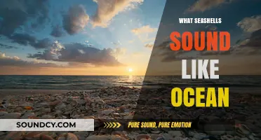 Seashells' Ocean Echoes: Unveiling the Mystical Sounds of the Sea