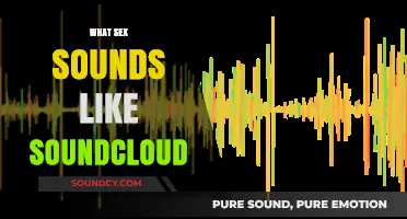 Exploring the Intimate Sounds of Sex on SoundCloud: A Revealing Journey