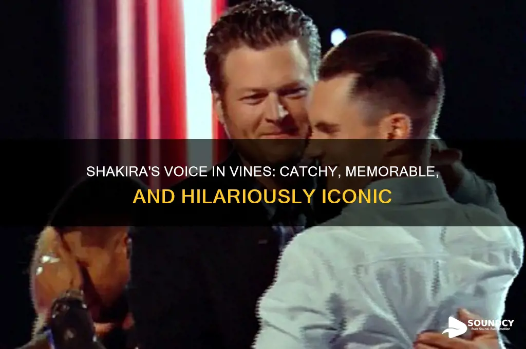 what shakira sounds like vine