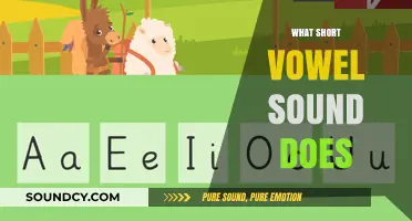 Mastering Short Vowel Sounds: Unlocking the Power of Phonics in Reading