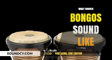 Mastering Bongo Sounds: Essential Tone, Rhythm, and Resonance Tips
