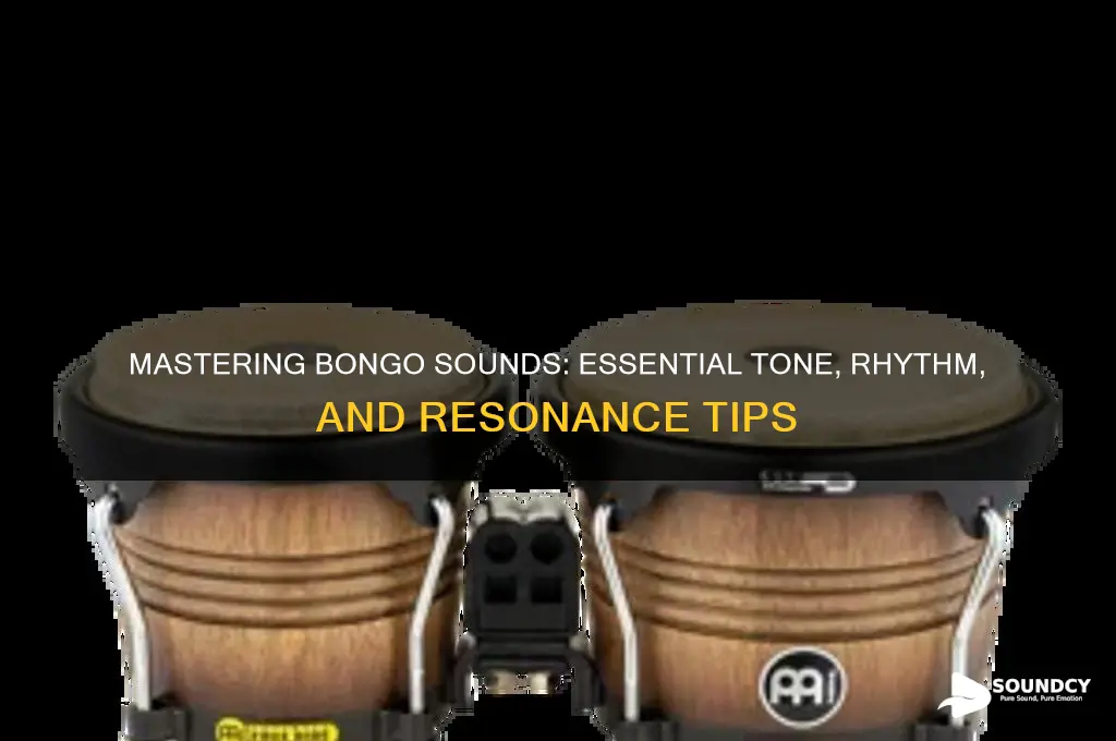 what should bongos sound like