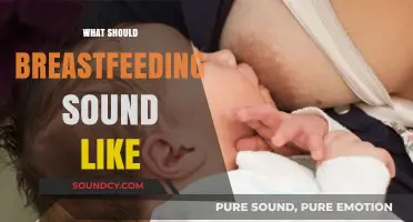 Understanding Breastfeeding Sounds: What’s Normal and When to Seek Help