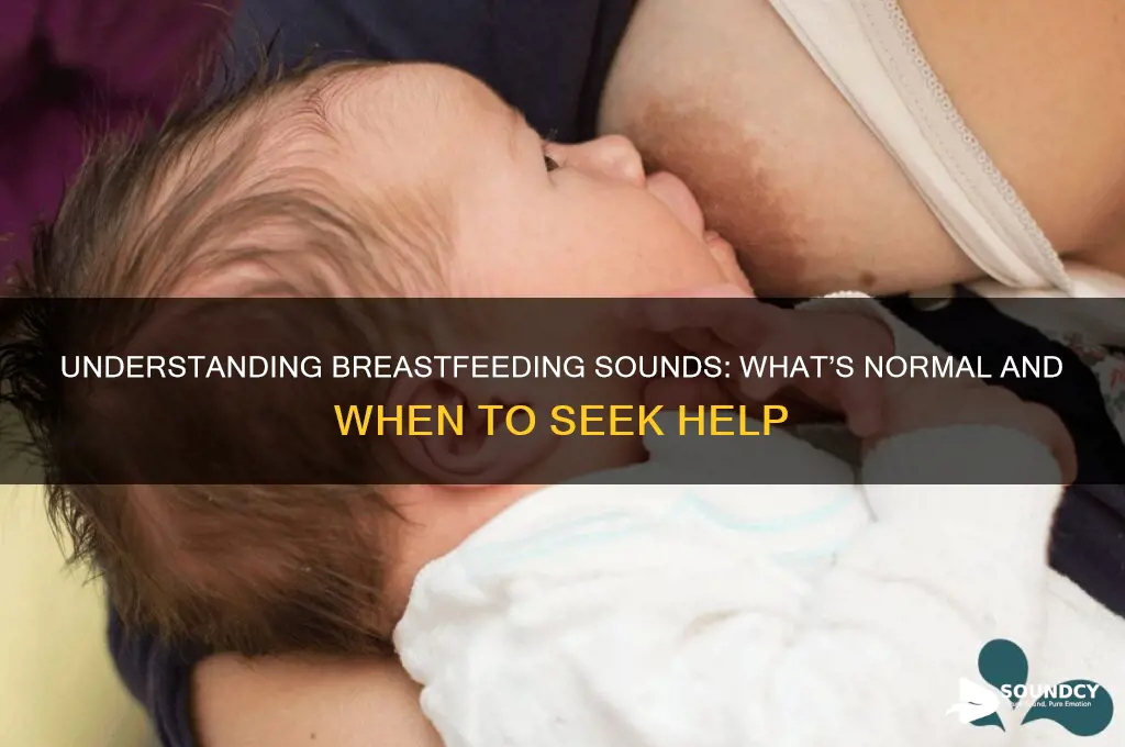what should breastfeeding sound like