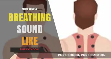 Understanding Normal Breathing Sounds: What to Listen For and Why