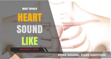 Understanding Normal Heart Sounds: What to Listen For and Why