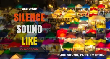 Unraveling the Essence: What Should Silence Sound Like to Us?