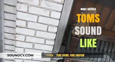 Crafting Tom's Signature Sound: Essential Elements for Authenticity and Impact