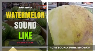 The Perfect Watermelon Thump: Decoding Its Ideal Sound and Ripeness