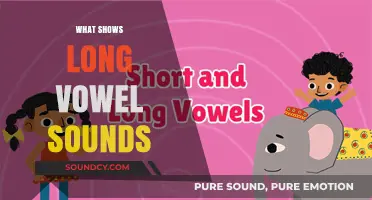 Mastering Long Vowel Sounds: Essential Words and Patterns to Recognize