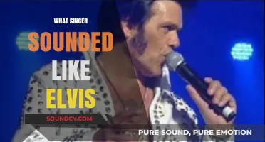 Who Sounds Like Elvis? Discover the Singer with a Similar Voice
