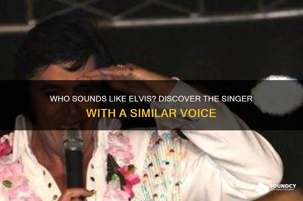 what singer sounded like elvis