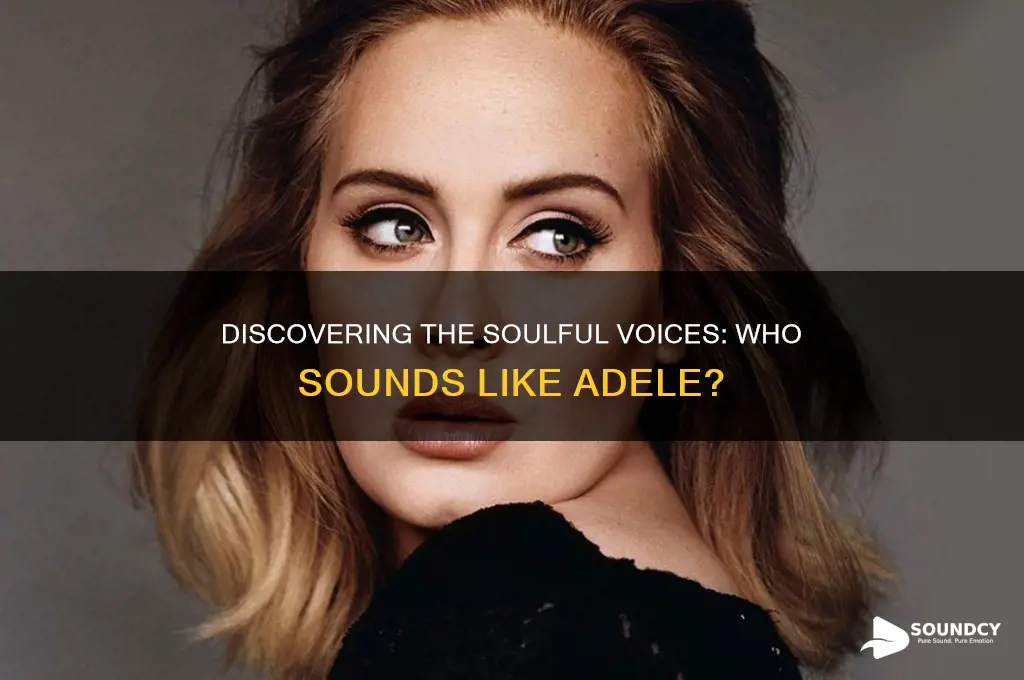 what singer sounds like adele