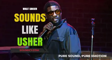 Who Sounds Like Usher? Discover the Singer with a Similar Voice