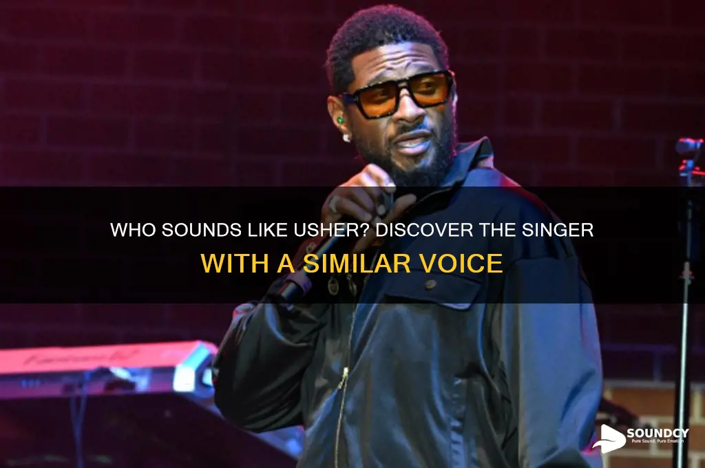 what singer sounds like usher