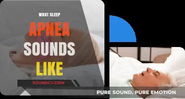 Uncovering the Noisy Nights: What Sleep Apnea Sounds Like