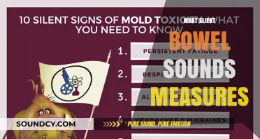Understanding Silent Bowel Sounds: What They Measure and Indicate