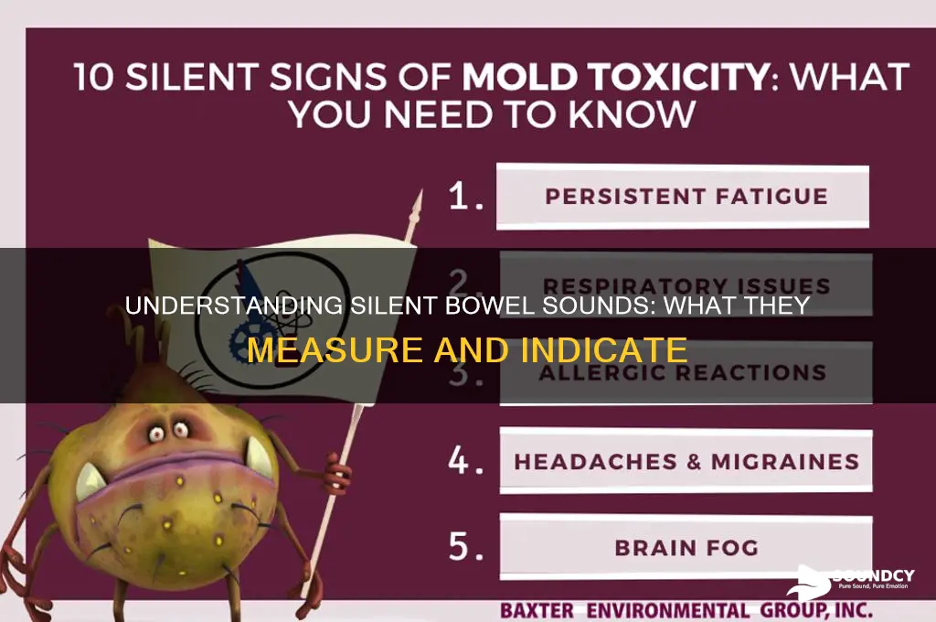 what slient bowel sounds measures