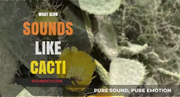 Unraveling the Offensive Slur That Echoes the Sound of Cacti