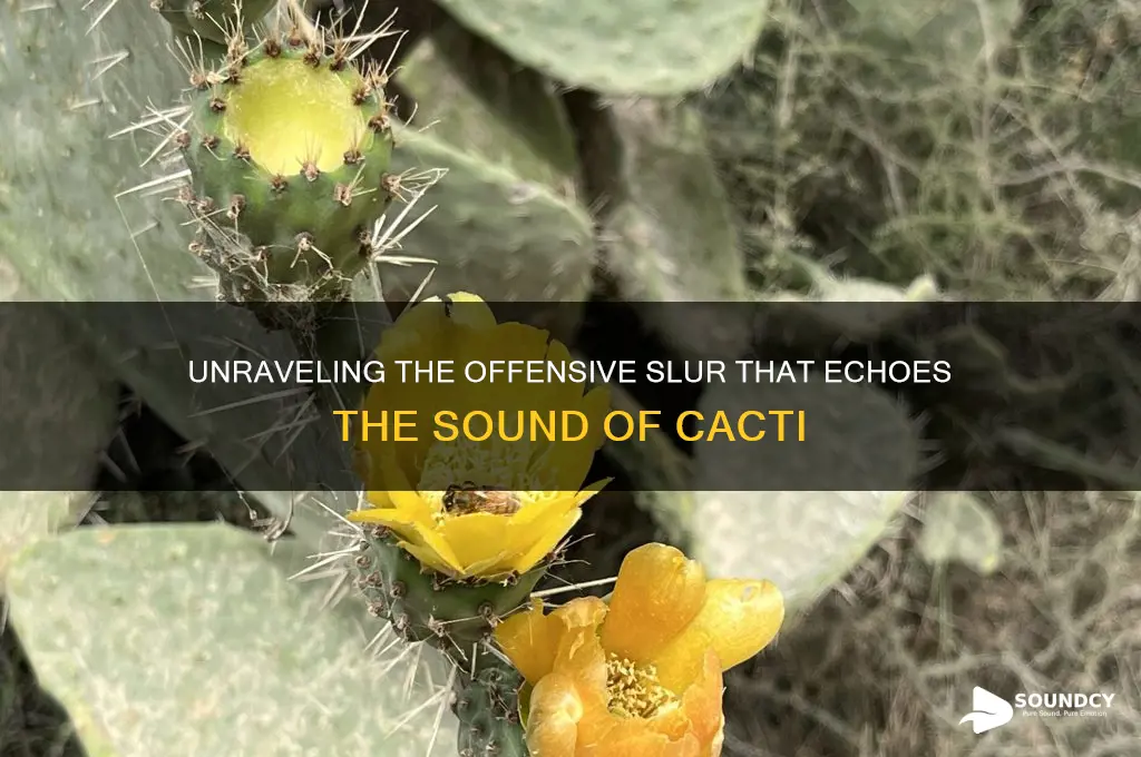 what slur sounds like cacti
