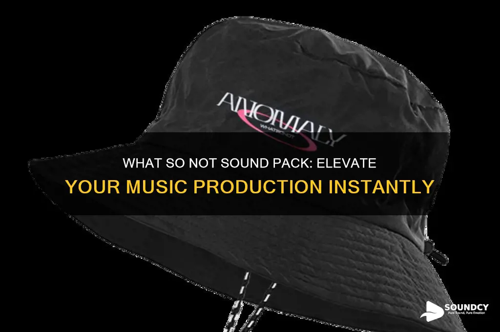 what so not sound pack