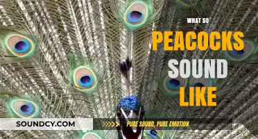 Unveiling the Unique Calls: What Do Peacocks Sound Like?