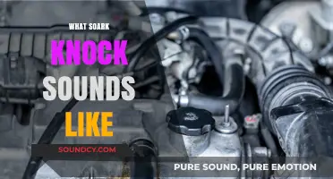 Decoding the Distinctive Sound of a Spark Knock in Engines