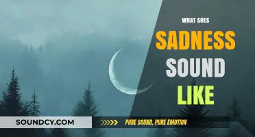 The Acoustic Echoes of Melancholy: What Does Sadness Sound Like?