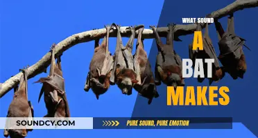 Unveiling the Mysterious Sounds: What Noise Does a Bat Make?