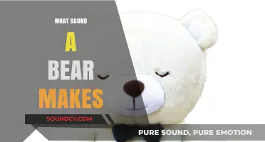 Unveiling the Unique Vocalizations: What Sound Does a Bear Actually Make?