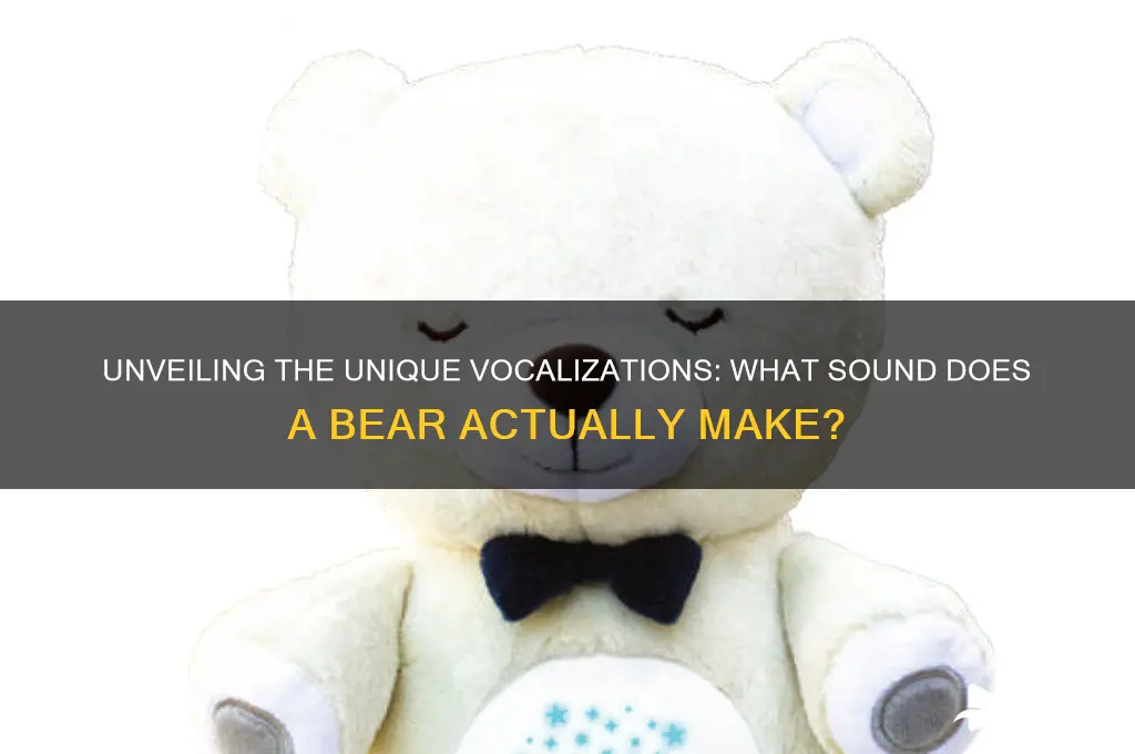 what sound a bear makes
