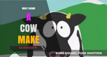 Mooing Mysteries: Understanding the Unique Sounds Cows Make