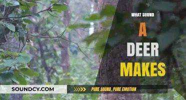 Unveiling the Mystery: What Sound Does a Deer Make?