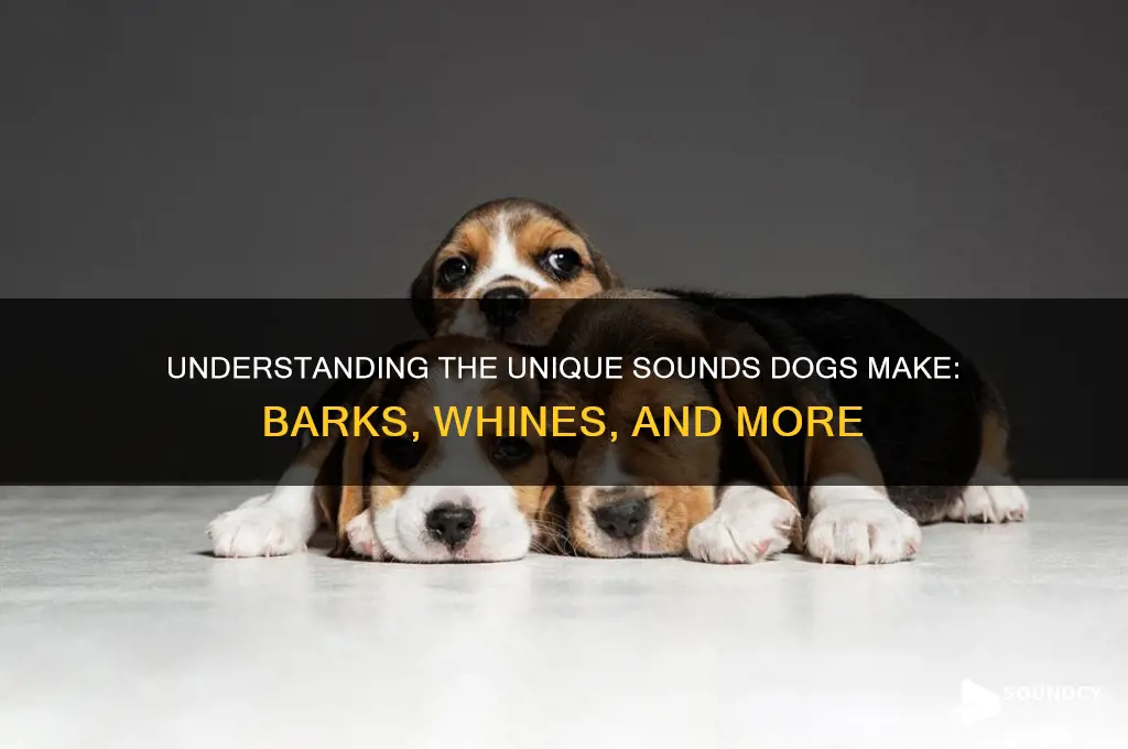 what sound a dog make