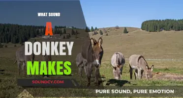 Unveiling the Unique Vocalizations: What Sound Does a Donkey Make?