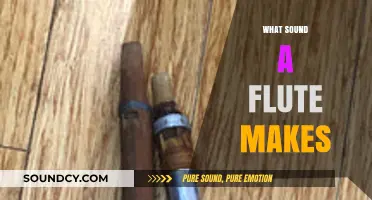 The Melodic Whisper: Understanding the Unique Sound of a Flute