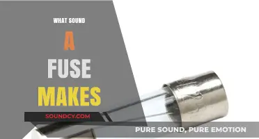 The Surprising Sound of a Fuse: Pop, Crackle, or Silence?
