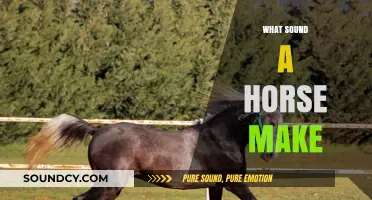 Unraveling the Unique Neigh: What Sound Does a Horse Make?
